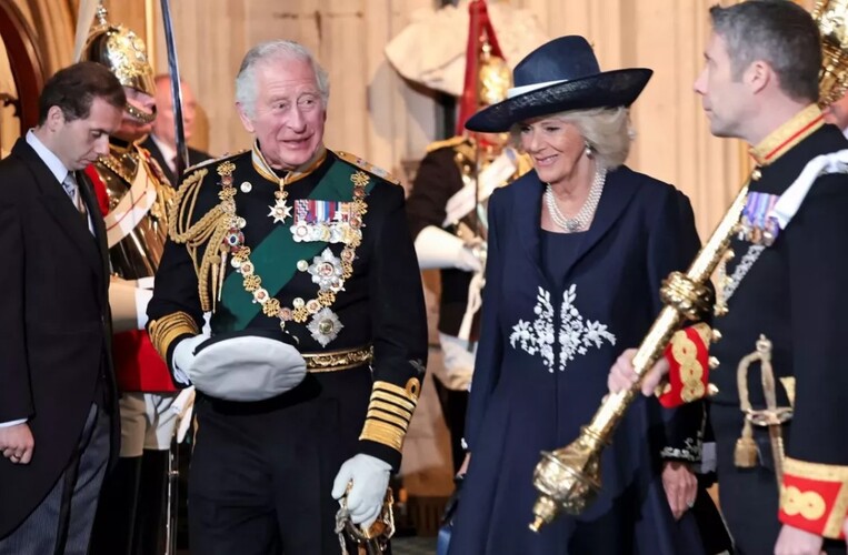 Prince Charles Replaced The Queen In Parliament, Camilla And William At ...