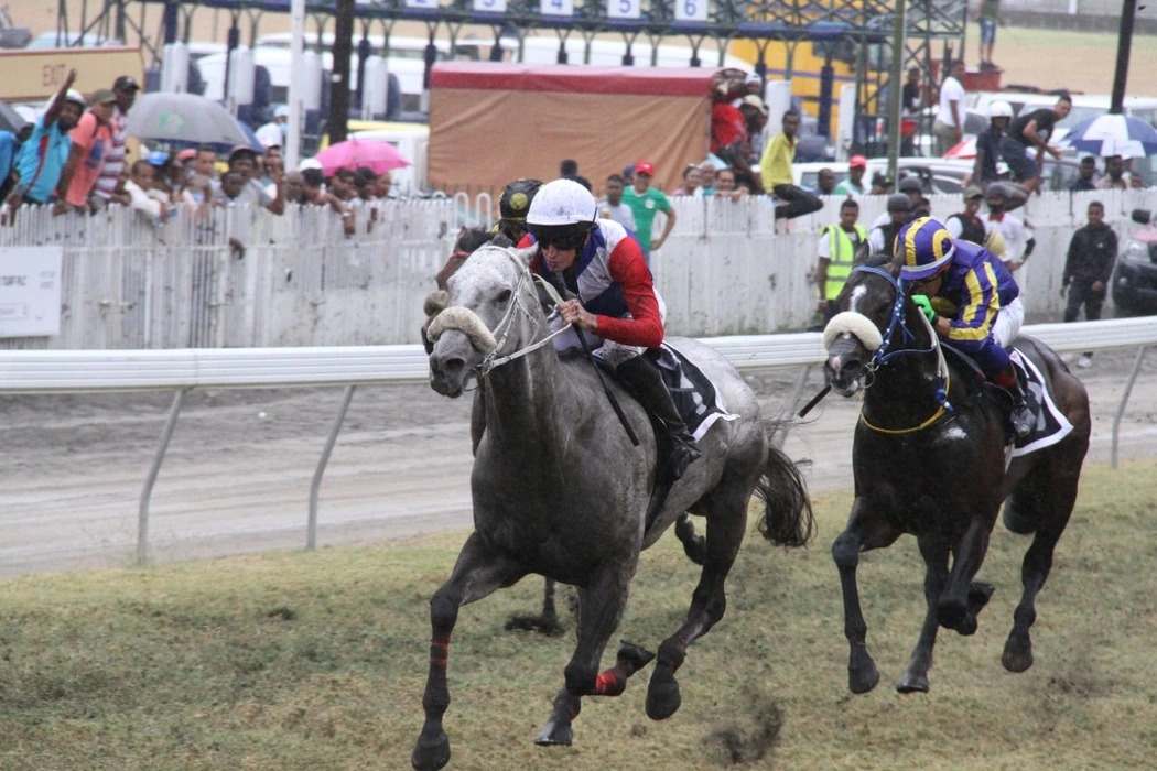 Horse Racing (Meeting 11): Frosted Gold Ready For His Comeback