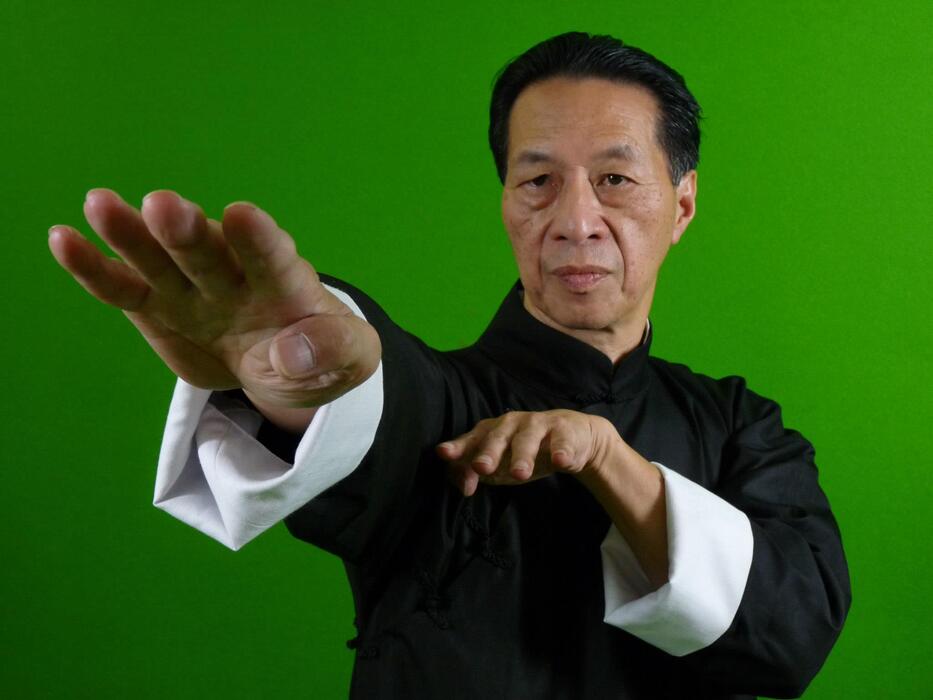 Wing Chun: Grand Master Samuel Kwok In Mauritius For A 2 Days Seminar